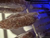 IMG_0636.jpeg