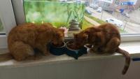 IMG_20260526_074904_117.jpg