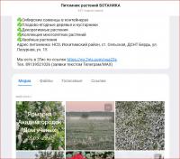 Снимок.JPG