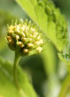 IMG_1746-2.jpg