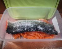 Forel_Turcia_2.jpg