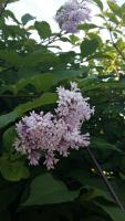 20160620_170218.jpg