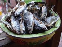 DSC04284.JPG