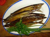 DSC04375.JPG