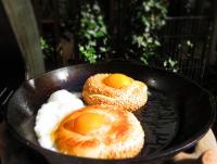 IMG_2927.JPG