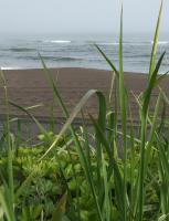 62813AB4-B68B-4F1D-8149-1A4F51E5B9AB.jpeg