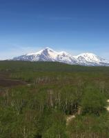 176A9D5B-2A9B-4937-A555-E06731B3E371.jpeg