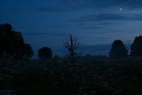 IMG_8317.jpg