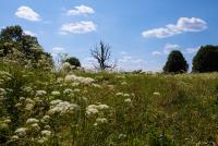 IMG_8296.jpg