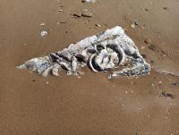 IMG_20210526_103533.jpg