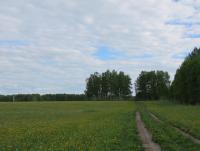 IMG_4454.JPG