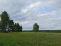 IMG_4452.JPG