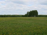 IMG_4448.JPG