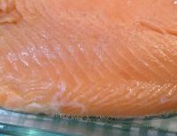 salmon7.jpeg
