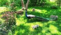 IMG_20220528_130404.jpg