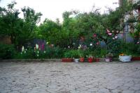 DSC_0018.JPG