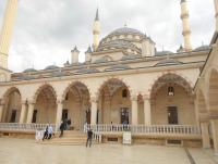 DSCN13031.JPG