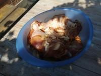 IMG_20230603_155839.jpg