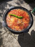 IMG_20250615_163444.jpg