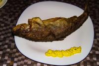 DSC01523 Kopie.jpg