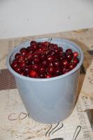 DSC01492.JPG