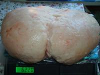 DSC08191.JPG