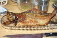IMG_9897.JPG