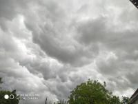 IMG_20250623_134901.jpg