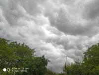IMG_20250623_134916.jpg
