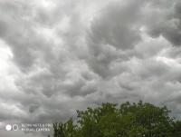 IMG_20250623_134910.jpg