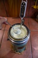 Yogurt_Big.jpg