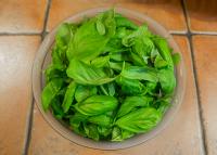 Pesto_Balkon_1.jpg