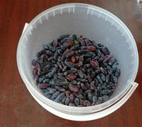 IMG_20260615_172045.jpg
