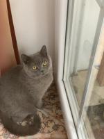 IMG_4995.JPEG