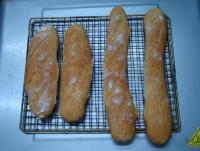 DSC08804.JPG