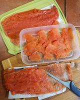 Forel_Turcia_3.jpg