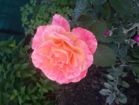 20160705_192656.jpg