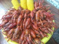 IMG_20160723_175433.jpg