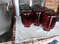 DSC09487.JPG