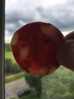 IMG_8257-10-07-17-18-06.JPG