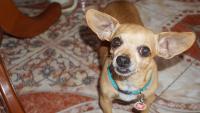 DSC00527.JPG