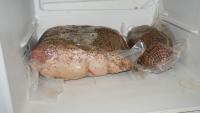DSC00459.JPG