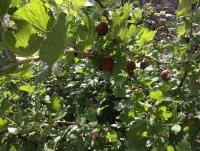 BD0F5757-70EA-46FA-93EE-3216D7AA2639.jpeg