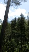 IMG-20220630-WA0015.jpg