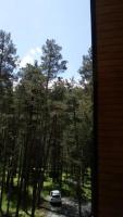 IMG-20220630-WA0017.jpg