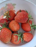 IMG-20250626-WA0016.jpg