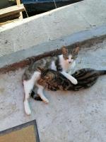 IMG_20250710_075654.jpg