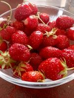 IMG_20260701_162759.jpg