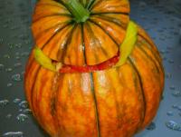 DSC00780.jpg