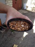 IMG-20170816-WA0002.jpg